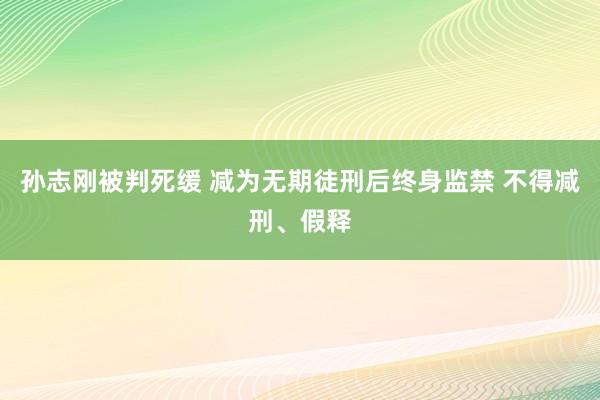 孙志刚被判死缓 减为无期徒刑后终身监禁 不得减刑、假释