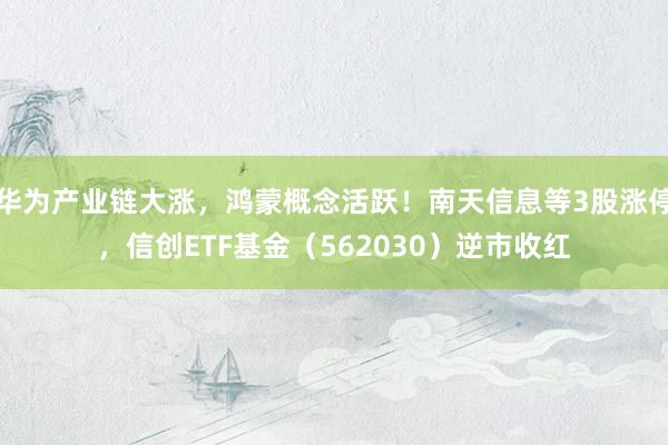 华为产业链大涨，鸿蒙概念活跃！南天信息等3股涨停，信创ETF基金（562030）逆市收红