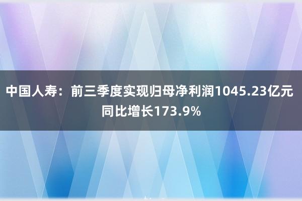 中国人寿：前三季度实现归母净利润1045.23亿元 同比增长173.9%