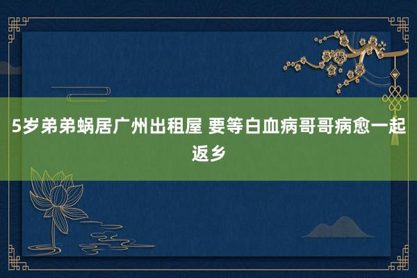 5岁弟弟蜗居广州出租屋 要等白血病哥哥病愈一起返乡