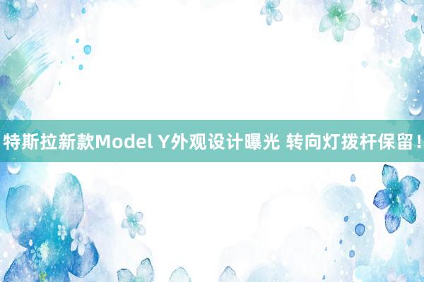 特斯拉新款Model Y外观设计曝光 转向灯拨杆保留！