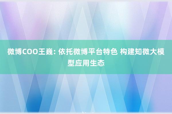 微博COO王巍: 依托微博平台特色 构建知微大模型应用生态