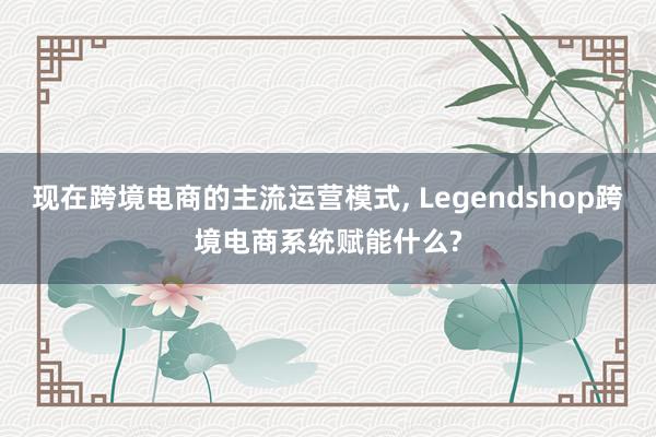 现在跨境电商的主流运营模式, Legendshop跨境电商系统赋能什么?