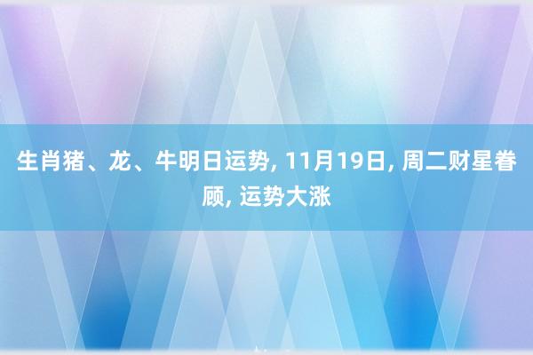 生肖猪、龙、牛明日运势, 11月19日, 周二财星眷顾, 运势大涨