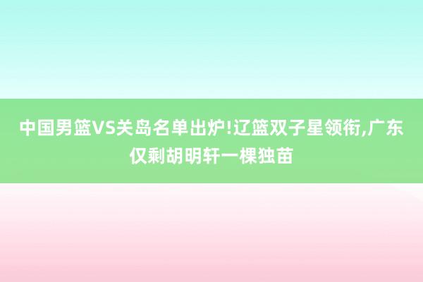 中国男篮VS关岛名单出炉!辽篮双子星领衔,广东仅剩胡明轩一棵独苗