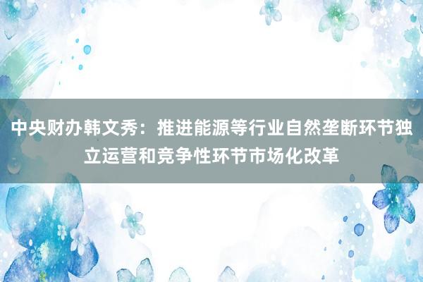 中央财办韩文秀：推进能源等行业自然垄断环节独立运营和竞争性环节市场化改革