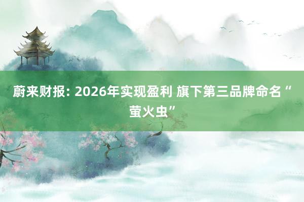 蔚来财报: 2026年实现盈利 旗下第三品牌命名“萤火虫”