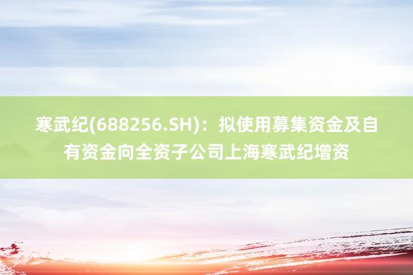 寒武纪(688256.SH)：拟使用募集资金及自有资金向全资子公司上海寒武纪增资