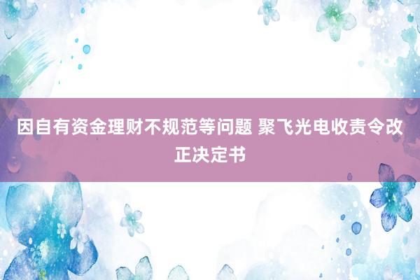 因自有资金理财不规范等问题 聚飞光电收责令改正决定书