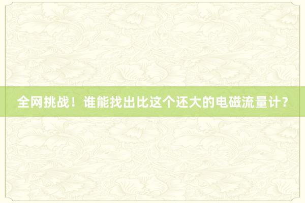 全网挑战！谁能找出比这个还大的电磁流量计？