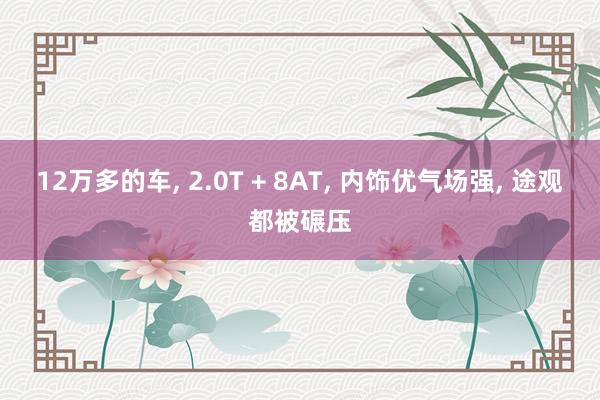 12万多的车, 2.0T + 8AT, 内饰优气场强, 途观都被碾压