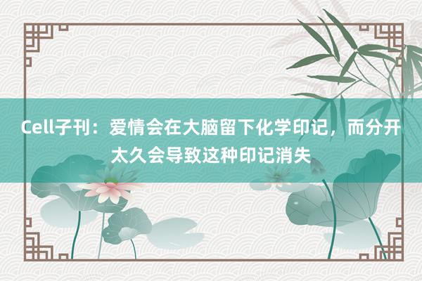 Cell子刊：爱情会在大脑留下化学印记，而分开太久会导致这种印记消失