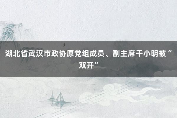 湖北省武汉市政协原党组成员、副主席干小明被“双开”