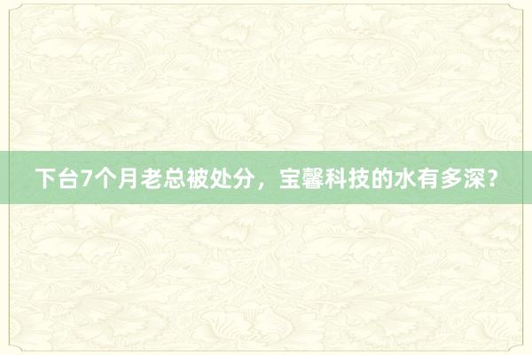 下台7个月老总被处分，宝馨科技的水有多深？