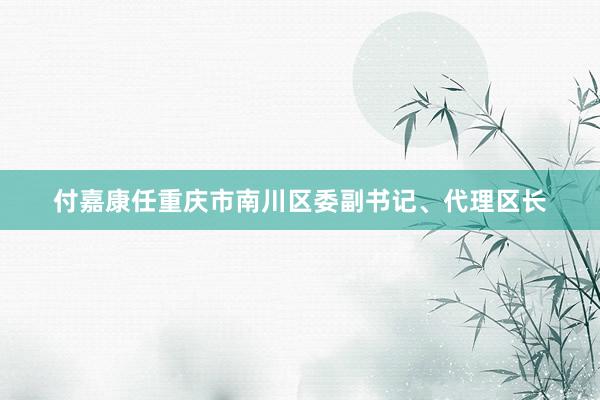 付嘉康任重庆市南川区委副书记、代理区长