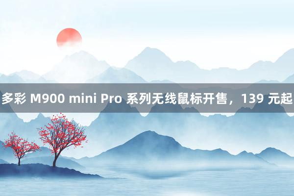 多彩 M900 mini Pro 系列无线鼠标开售，139 元起