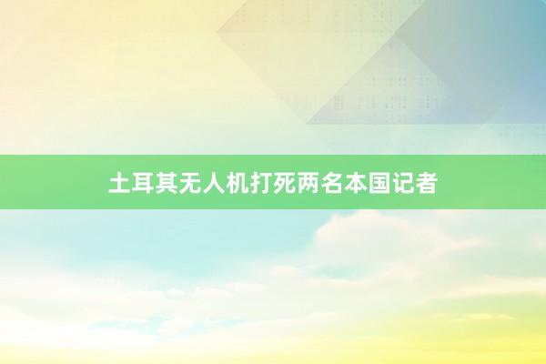 土耳其无人机打死两名本国记者